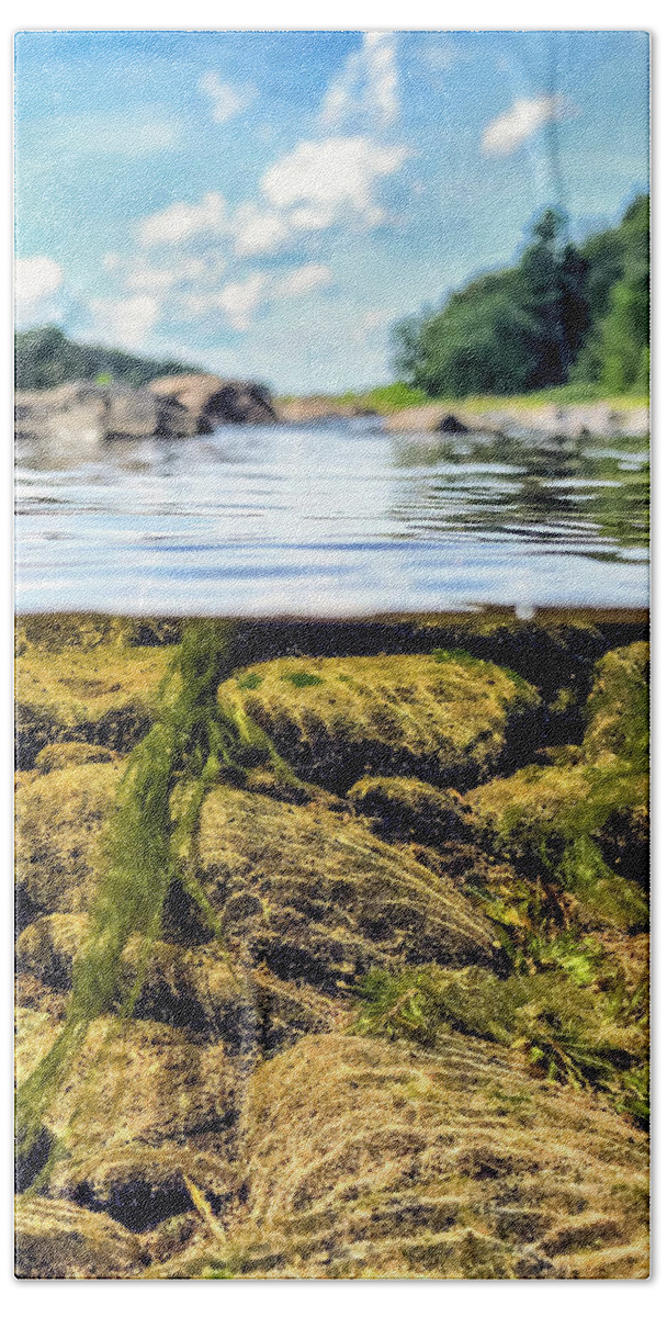 Rivers Bath Towel featuring the photograph Underwater / Landscape Split Shot by Amelia Pearn