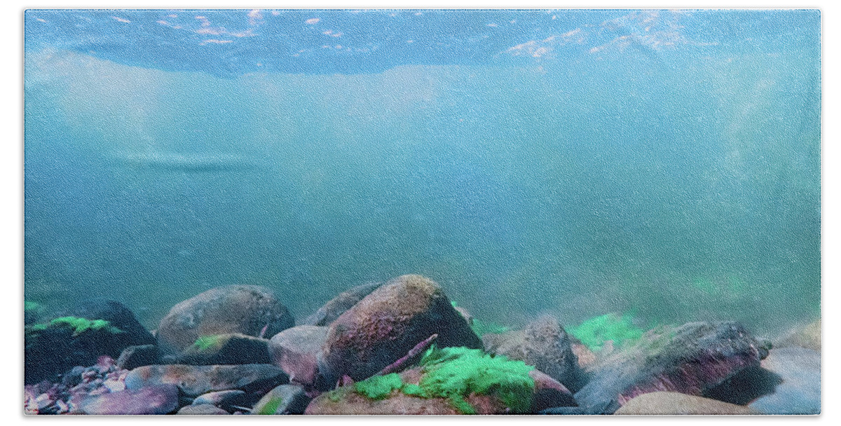 Sea Bath Towel featuring the photograph Underwater Scene - Upper Delaware River 6 by Amelia Pearn