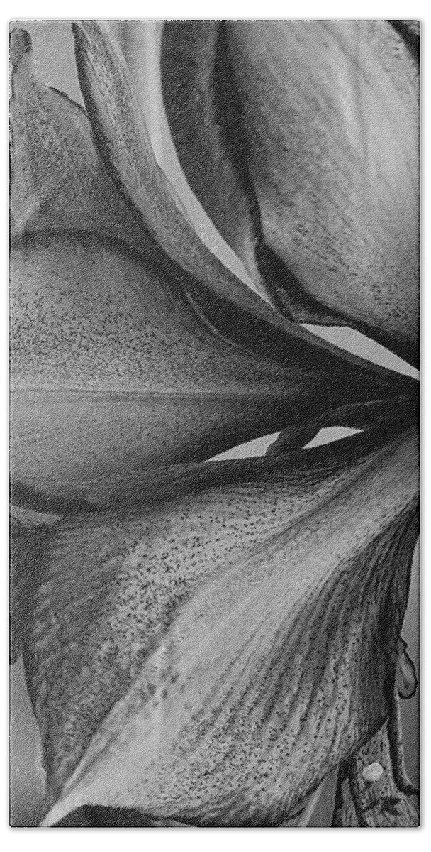 Flower Bath Towel featuring the photograph Up close in black and white by Kim Galluzzo