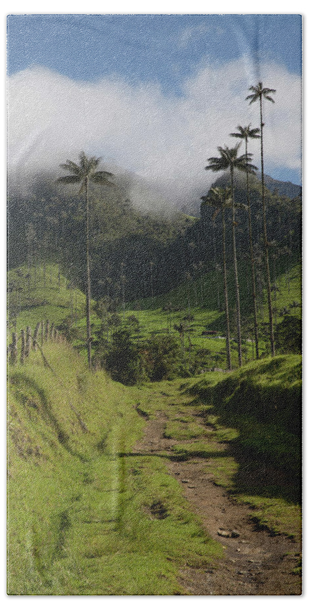 Valle Del Cocora Hand Towel featuring the photograph Valle Del Cocora Salento Quindio Colombia by Tristan Quevilly