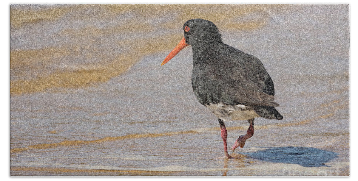 Variable Oystercatcher Hand Towel featuring the photograph Variable Oystercatcher2 by Eva Lechner