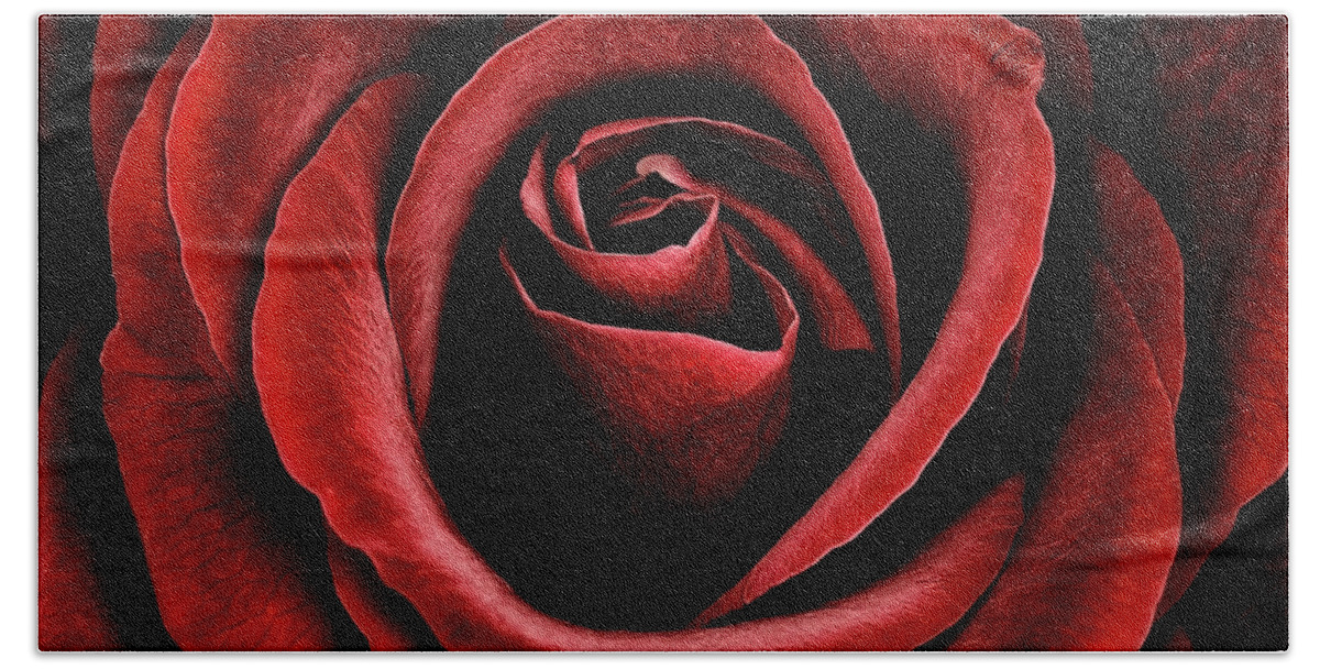 Velvet Red Rose Flower Beauty Beautiful Delightful Shining From Dark Proud Black Fantastic Vivid Vibrant Colour Colourful Color Colorful Poetic Magical Macro Impressive Impression Contrast Floral Still-life Attractive  Bath Towel featuring the photograph Velvet Red Rose by Tatiana Bogracheva