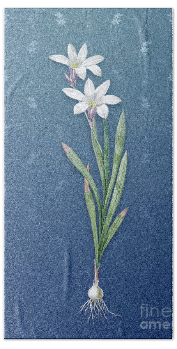 Vintage Bath Towel featuring the mixed media Vintage Ixia Liliago Botanical Art on Bahama Blue Pattern n.1347 by Holy Rock Design