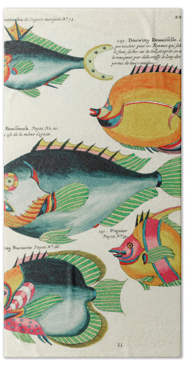 Fish Hand Towel featuring the digital art Vintage, Whimsical Fish and Marine Life Illustration by Louis Renard - Douwing Demoiselle, Tomtombo by Louis Renard