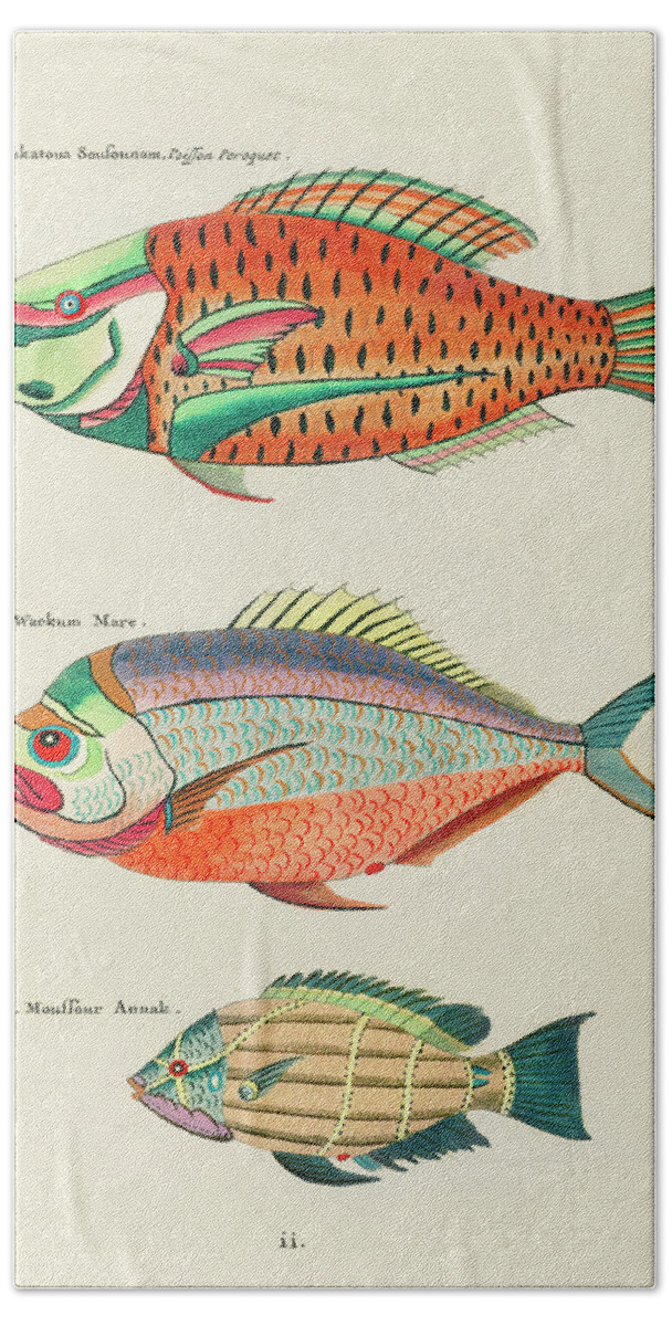 Fish Bath Towel featuring the digital art Vintage, Whimsical Fish and Marine Life Illustration by Louis Renard - Poisson Peroquet, Wackum Mare by Louis Renard
