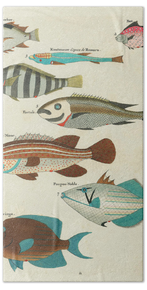 Fish Hand Towel featuring the mixed media Vintage, Whimsical Fish and Marine Life Illustration by Louis Renard - Terkoekoe, Parringa, Poupou by Louis Renard