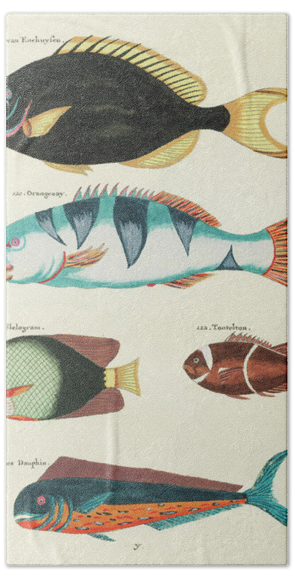 Fish Hand Towel featuring the digital art Vintage, Whimsical Fish and Marine Life Illustration by Louis Renard - Tontelton, Dorado Fish by Louis Renard
