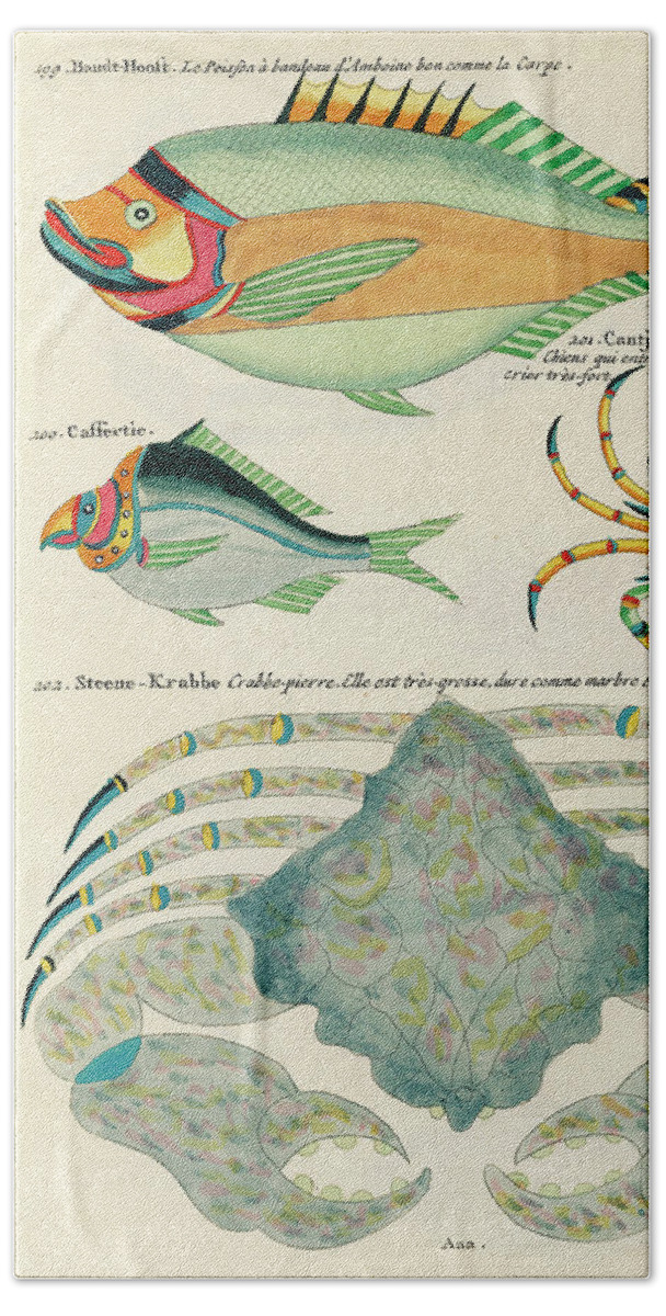 Fish Bath Towel featuring the digital art Vintage, Whimsical Fish and Marine Life Illustration by Louis Renard - Stone Crab, Bandt Hooft by Studio Grafiikka