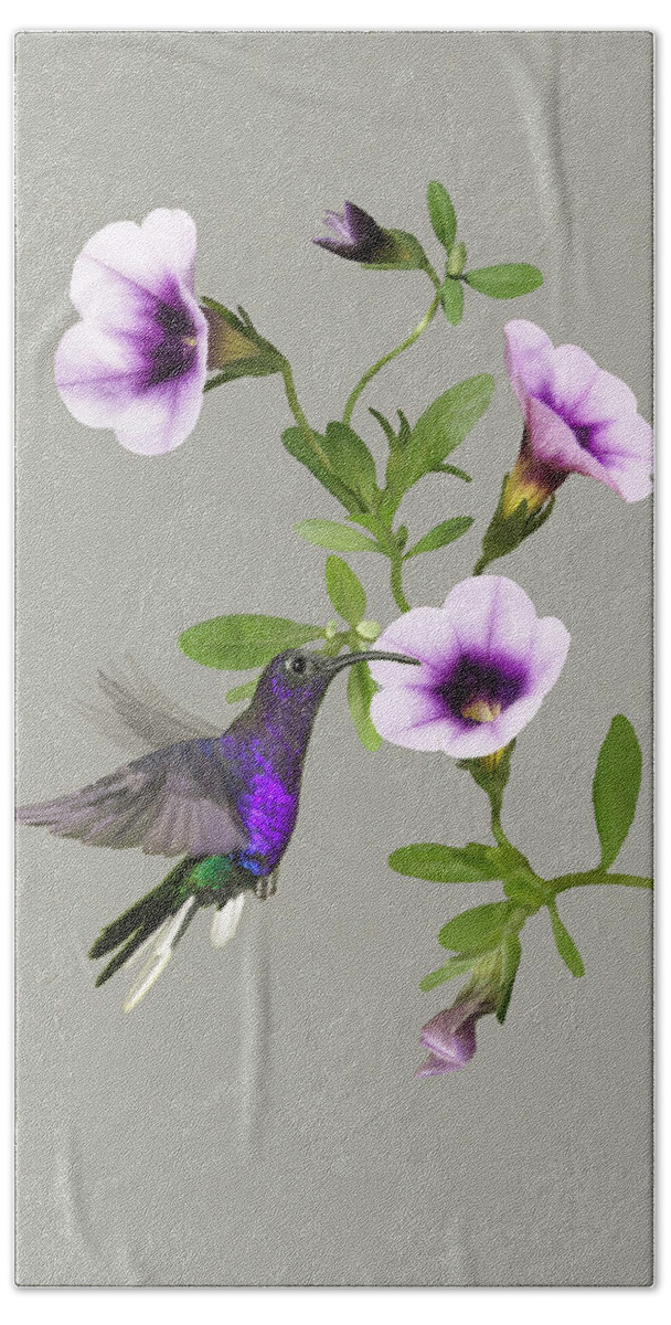 Hummingbird Hand Towel featuring the digital art Violet Sabrewing Hummingbird by M Spadecaller