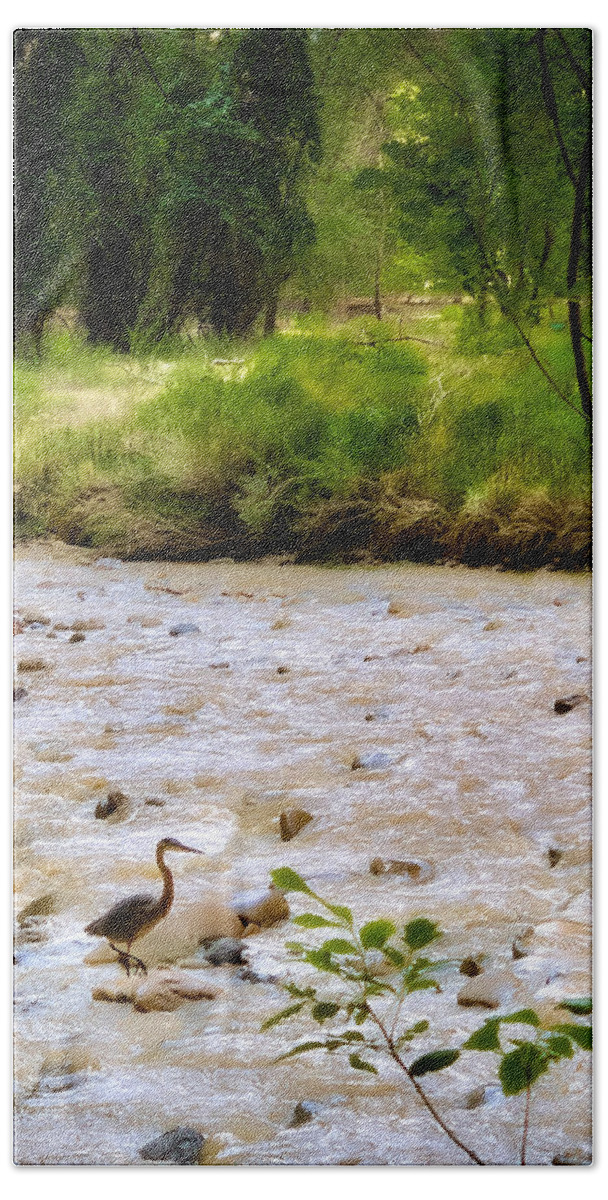 Photograph Bath Towel featuring the photograph Virgin River Walk by John A Rodriguez