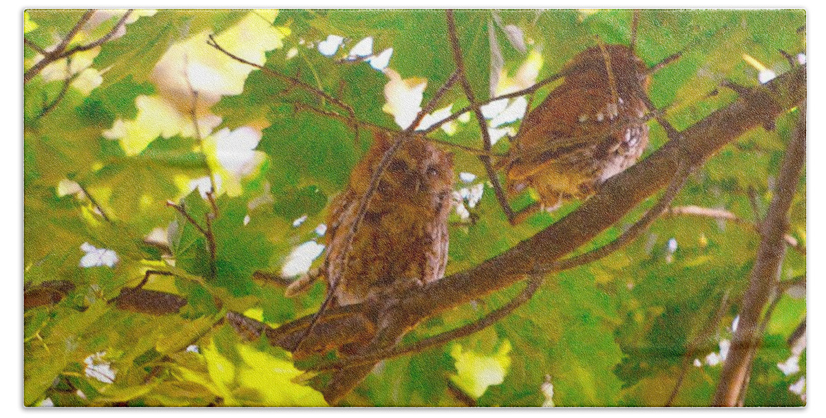 Eastern Screech Owls Bath Towel featuring the photograph Visitors in my Backyard by Stacie Siemsen
