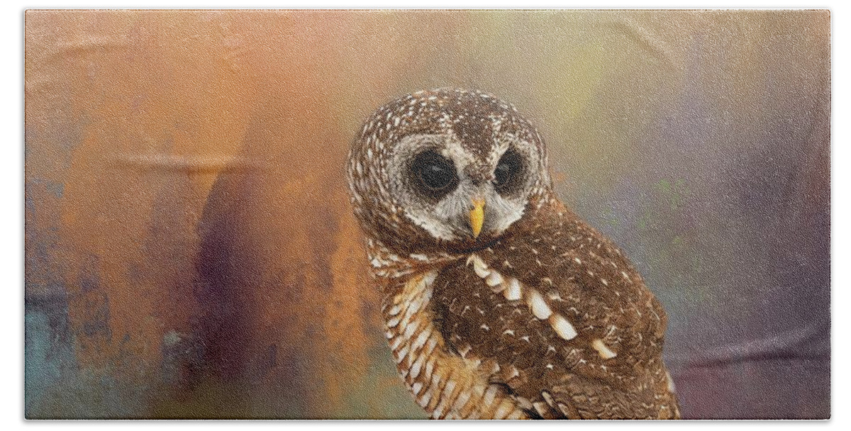 African Wood Owl Hand Towel featuring the photograph Waiting by Eva Lechner