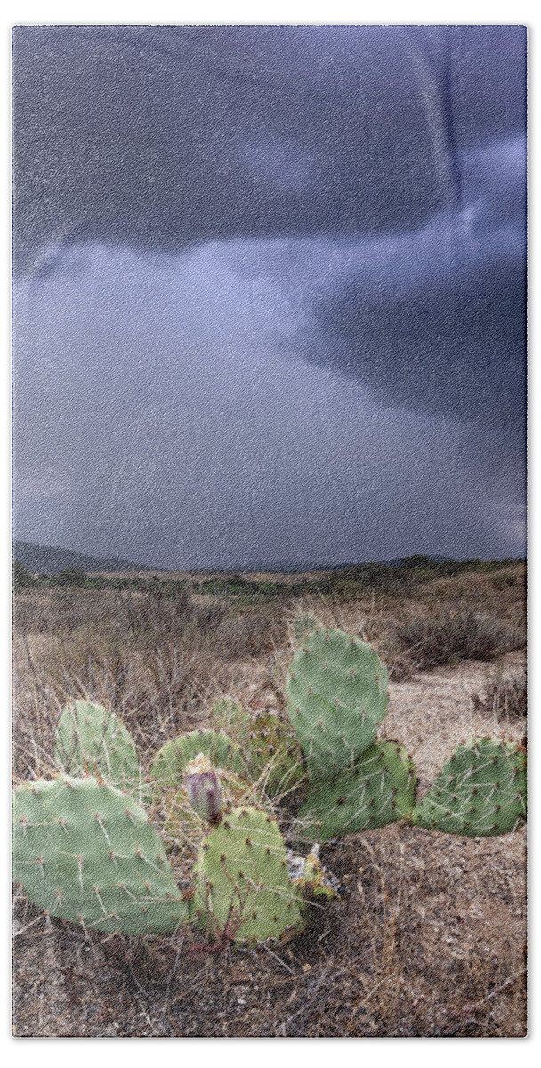 San Diego Hand Towel featuring the photograph Warner Springs Cactus and Monsoon by William Dunigan
