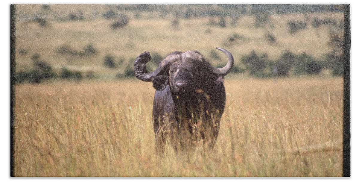 Africa Bath Towel featuring the photograph Water Buffalo in Field by Russel Considine