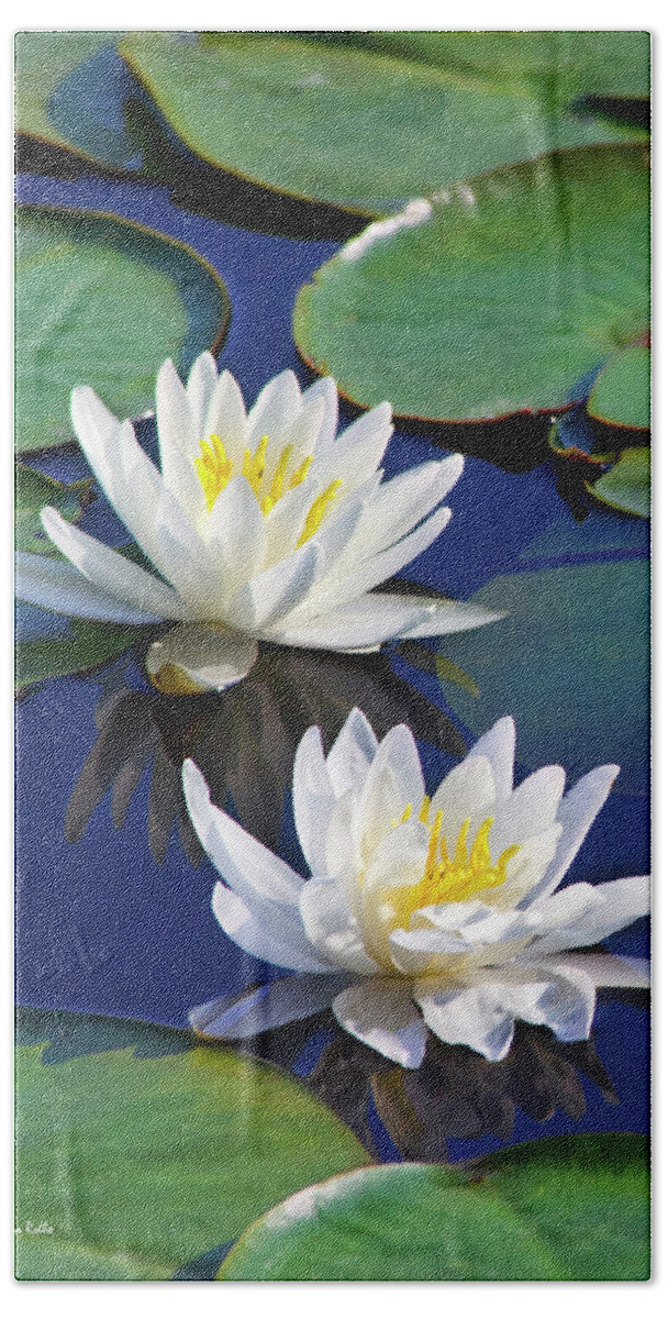 Water Lilies Bath Towel featuring the photograph Water Lilies by Christina Rollo
