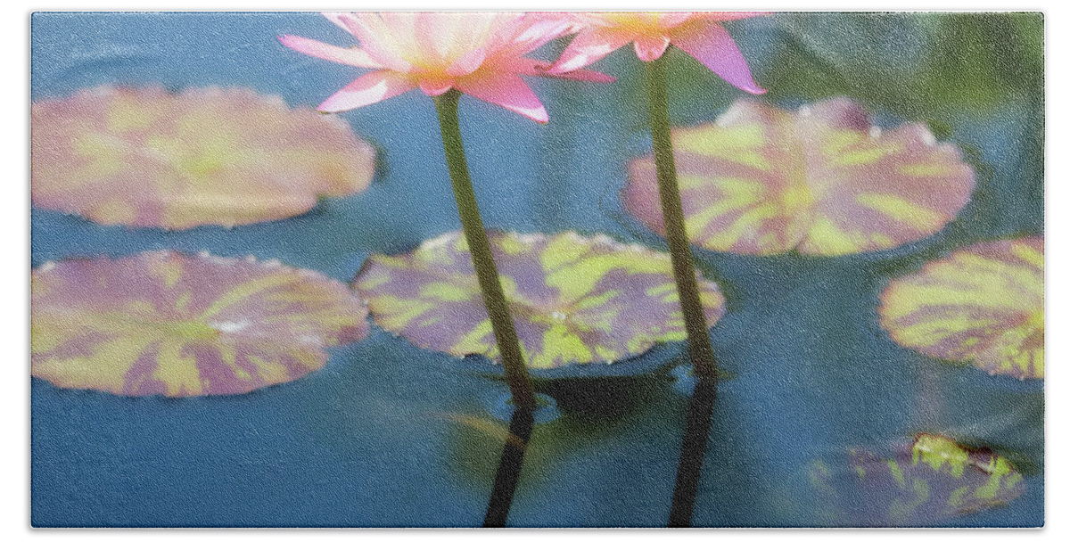 Soft Focus Hand Towel featuring the photograph Water Lilies Reflection by Scott Burd