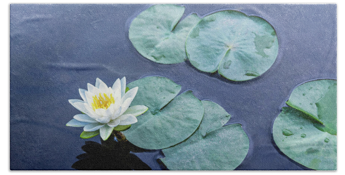 White Bath Towel featuring the photograph Water Lily Named for a Nymph by Marianne Campolongo