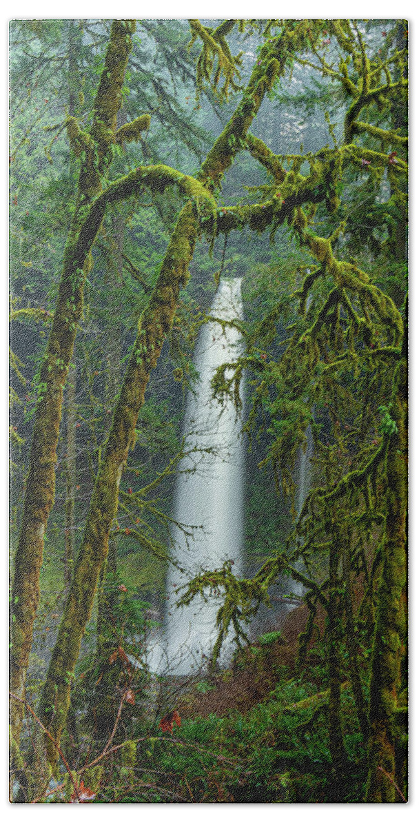  Bath Towel featuring the photograph Waterfalls in the Oregon forest by Ulrich Burkhalter