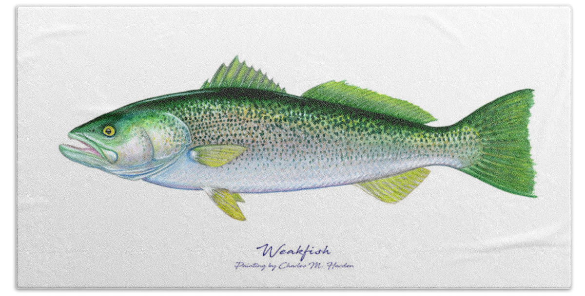 Charles Harden Hand Towel featuring the painting Weakfish by Charles Harden