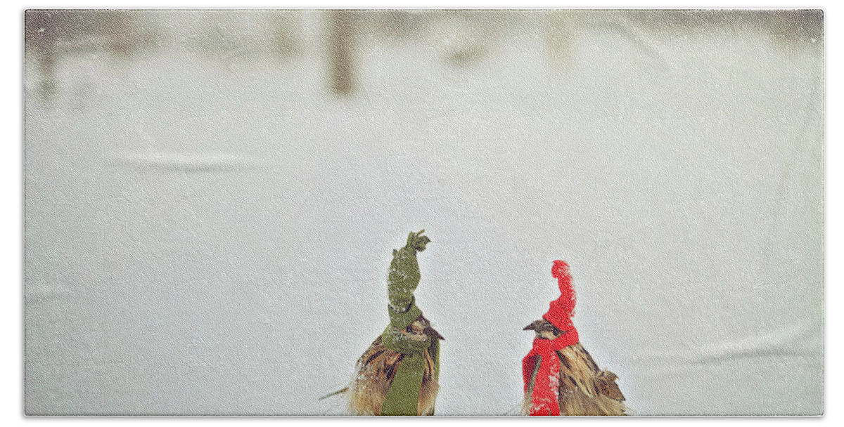 Snow Bath Towel featuring the photograph Weathered Feathered Friends by Carrie Ann Grippo-Pike