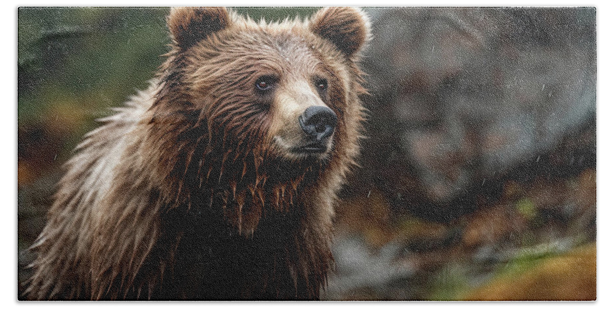Kodiak Bear Hand Towel featuring the photograph Wet Bear 4 by David Mohn