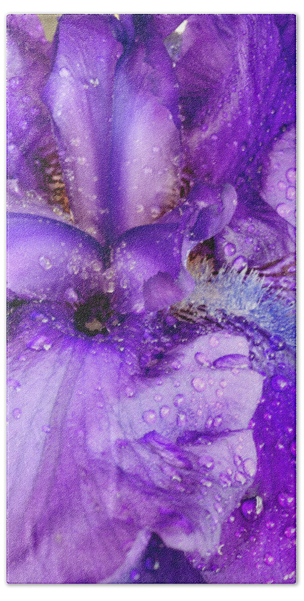 D1-f-0363 Bath Towel featuring the photograph Wet Bearded Iris by Paul W Faust - Impressions of Light