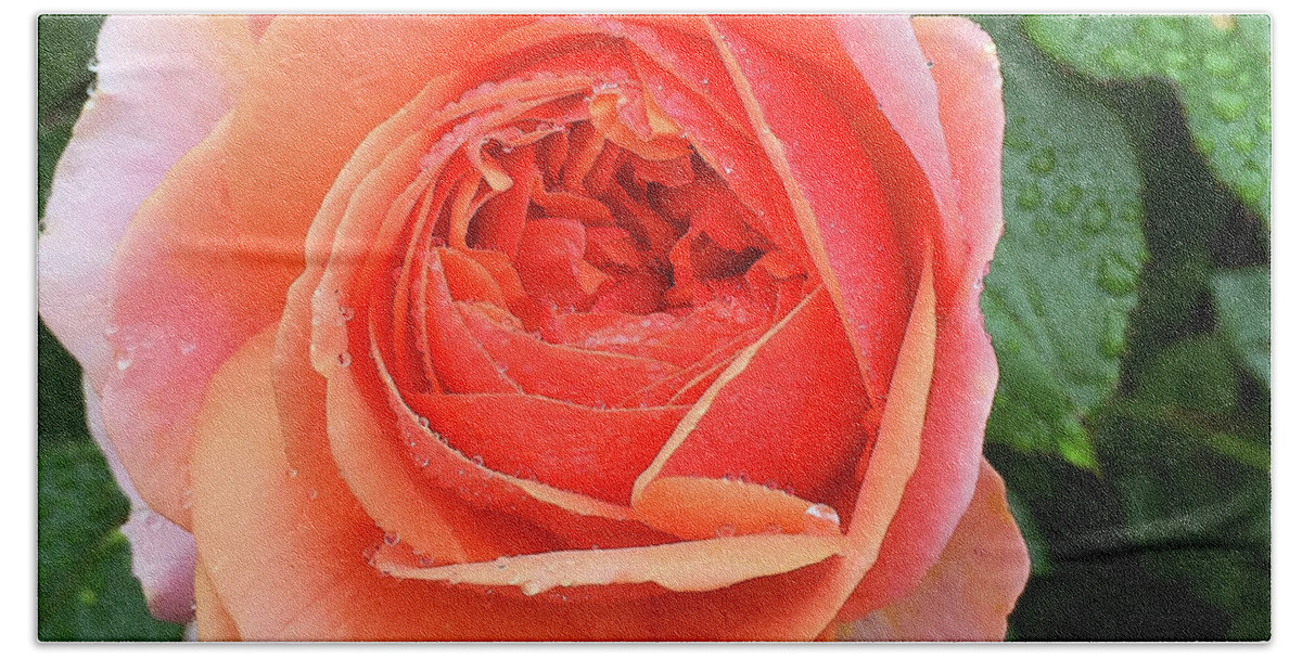 Rose Bath Towel featuring the digital art Wet Rose by Nancy Olivia Hoffmann