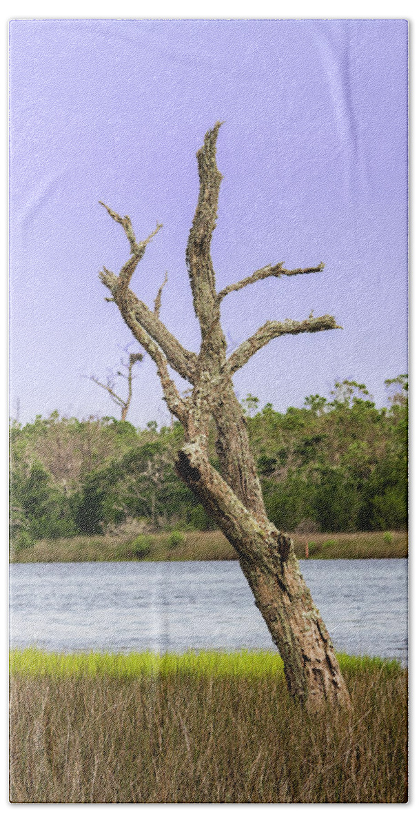 Tree Hand Towel featuring the photograph Wetlands Dead Tree Revisited by Bob Decker