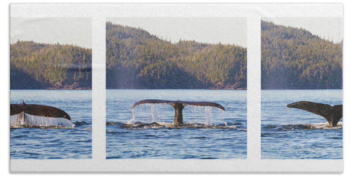Whale Bath Towel featuring the photograph Whale Tale Trio by Michael Rauwolf