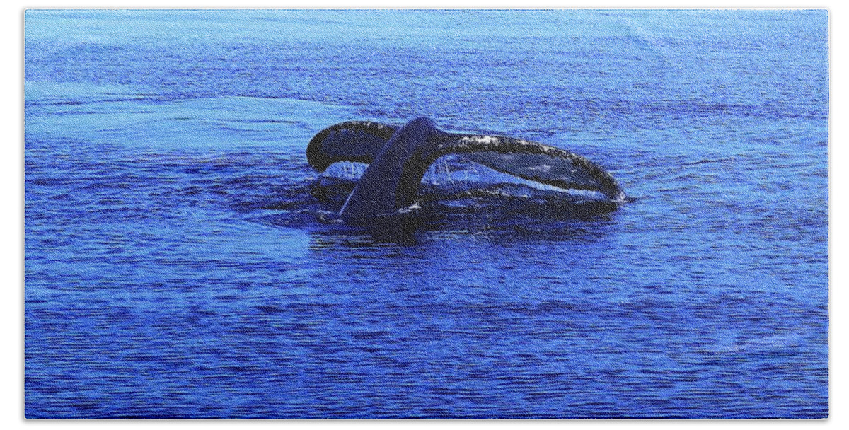 Whales Bath Towel featuring the photograph Whale Watching 7 by Christopher James