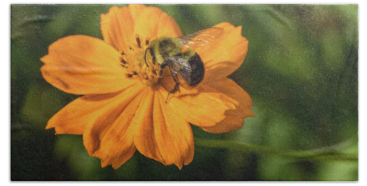 2017 Bath Towel featuring the photograph What's the Buzz? by Gerri Bigler