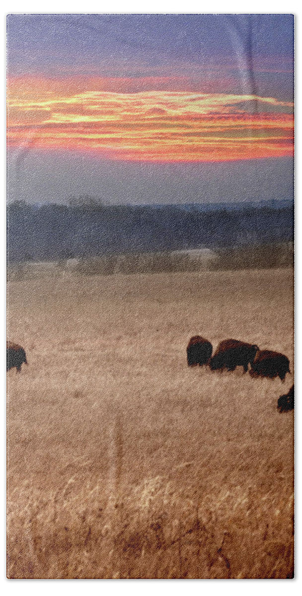 Kansas Hand Towel featuring the photograph Where The Buffalo Roam by Rod Seel