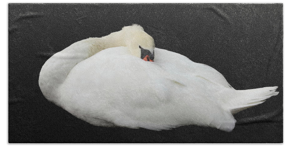 Swan Bath Towel featuring the photograph White Beauty by Mingming Jiang