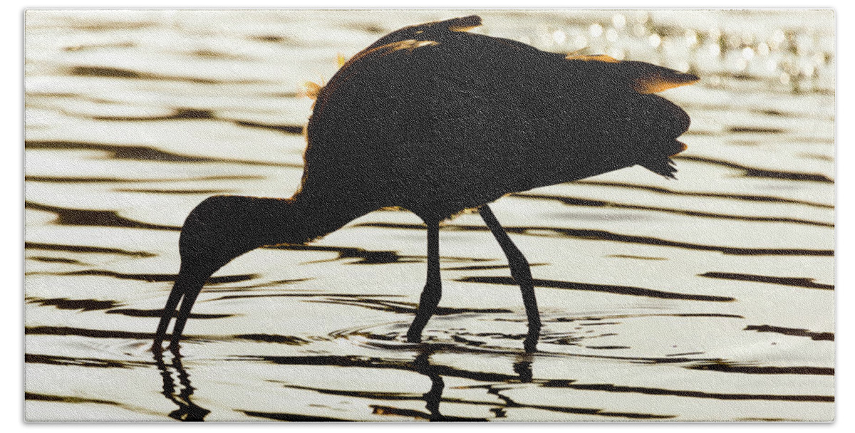 Bird Hand Towel featuring the photograph White Faced Ibis Silhouette 2 by Brian Knott Photography