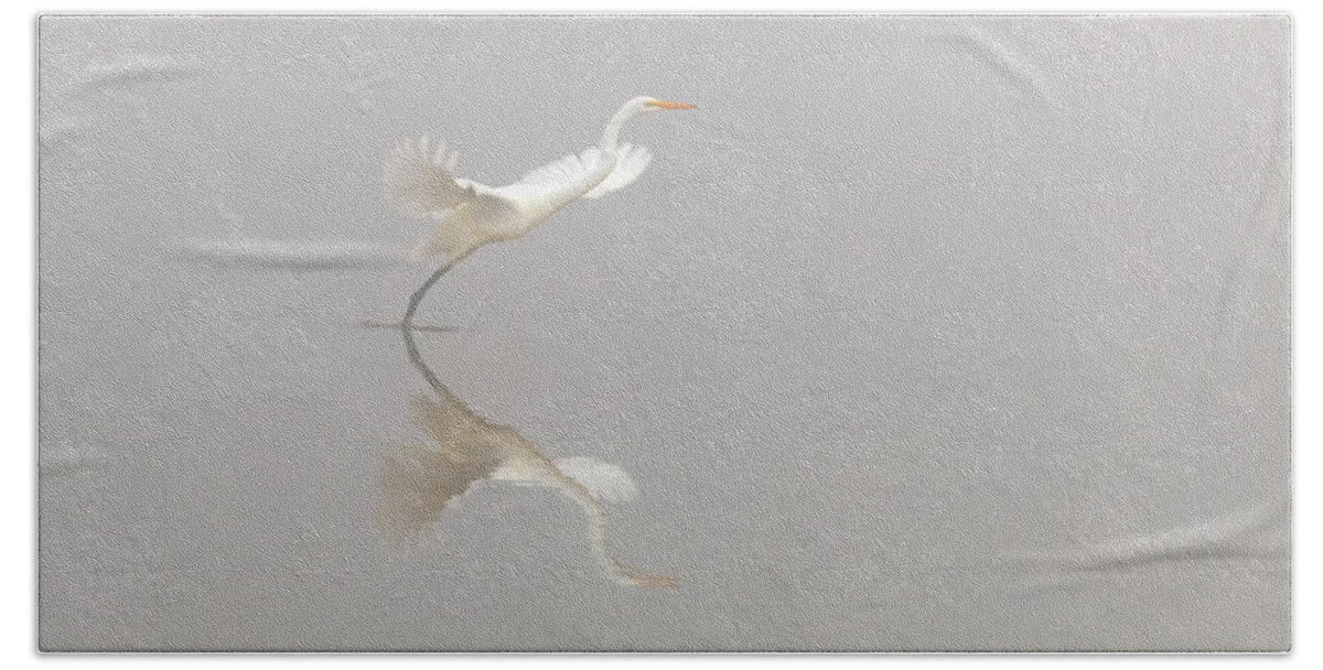 White Heron Taking Off Bath Towel featuring the photograph White Heron Taking Off by Catherine Avilez