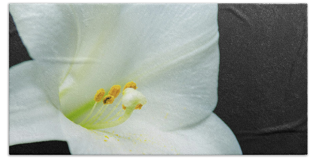 Abstract Bath Towel featuring the photograph White lily flower, yellow pollen, dark background by Jean-Luc Farges