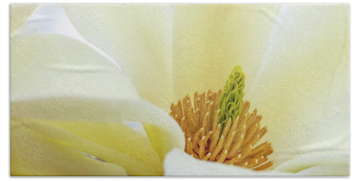 White Hand Towel featuring the photograph White Magnolia Bloom by Karen Smale