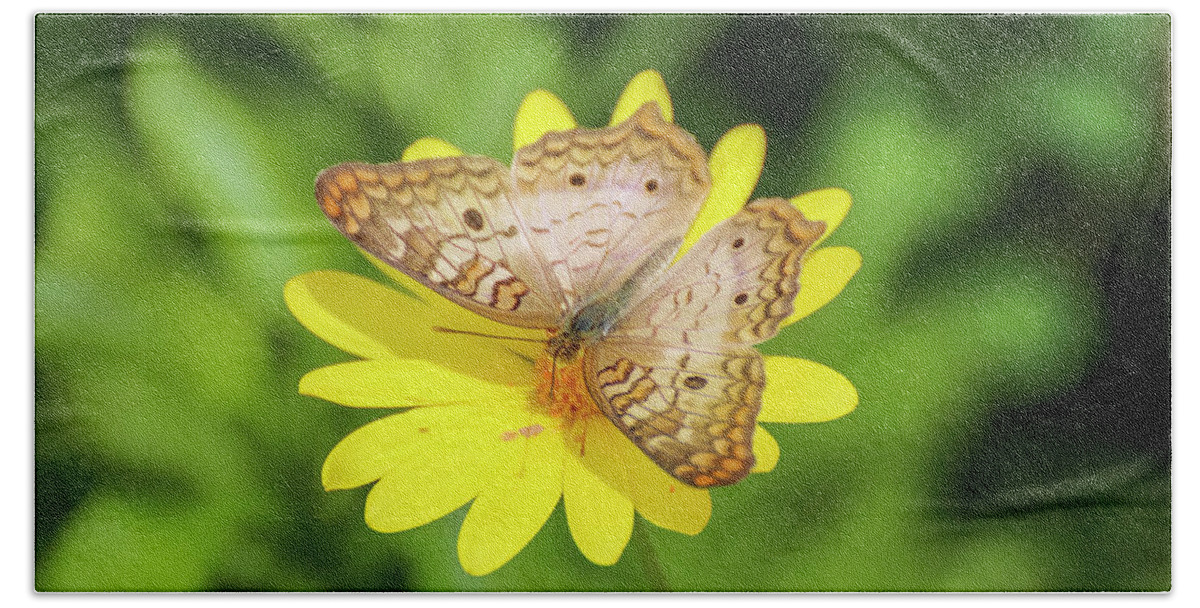 Butterflies Bath Towel featuring the photograph White Peacock Butterfly on Yellow Daisy by Dawn Richards