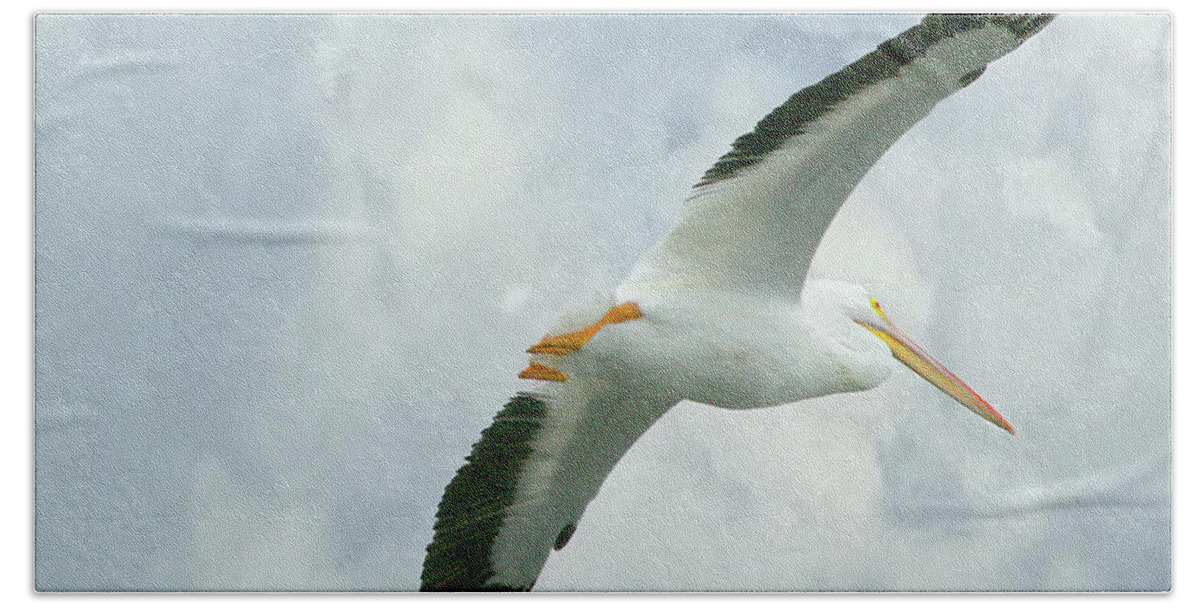 Nature Hand Towel featuring the photograph White Pelican in Flight by Mariarosa Rockefeller