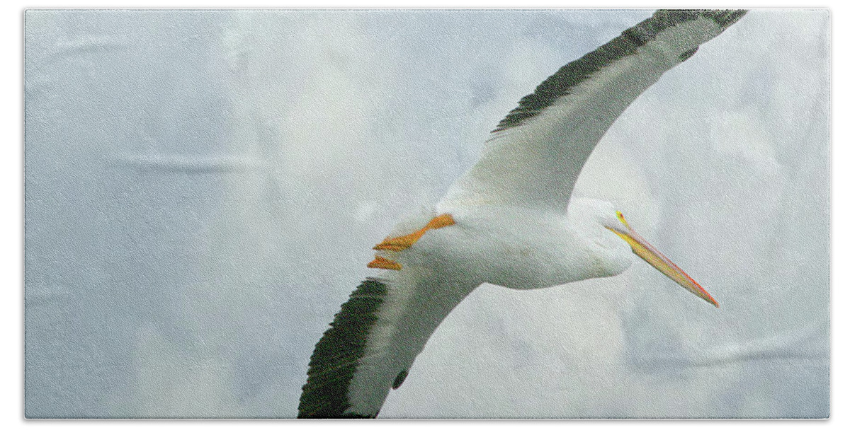 Nature Bath Towel featuring the photograph White Pelican in Flight by Mariarosa Rockefeller
