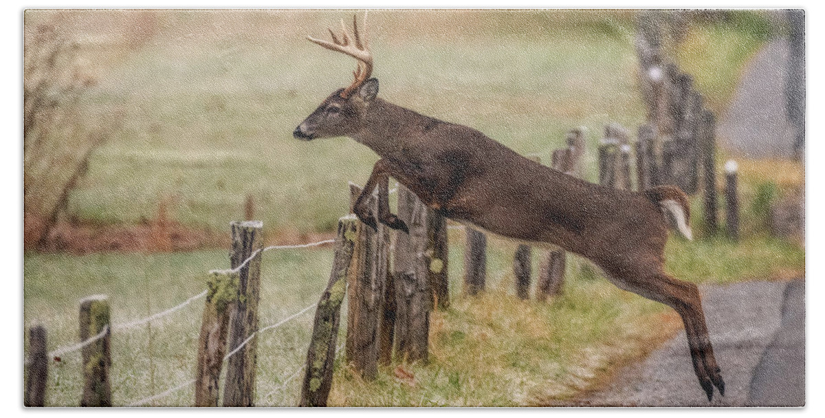 Great Smoky Mountains National Park Bath Towel featuring the photograph White-tailed Buck Showing Off by Robert J Wagner