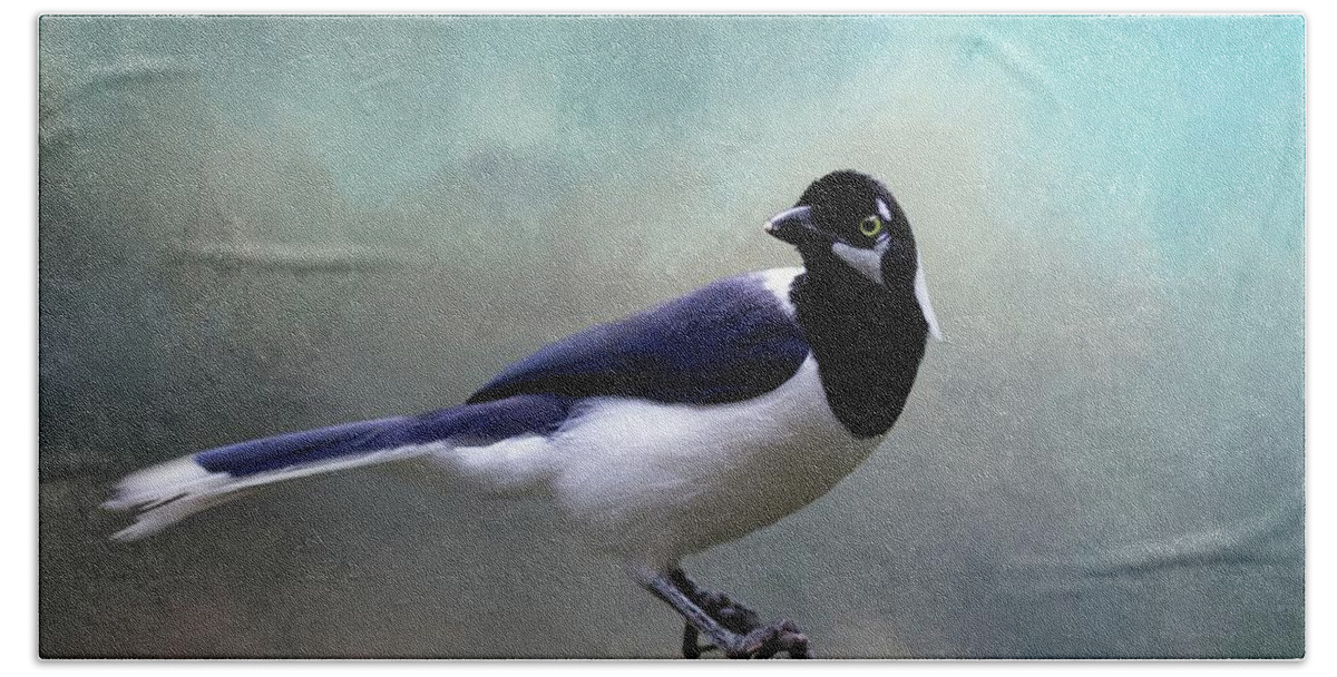 White-tailed Jay Hand Towel featuring the photograph White-Tailed Jay by Eva Lechner