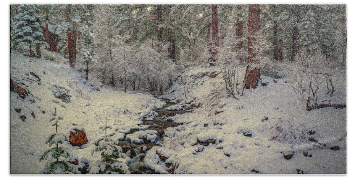 Creek Bath Towel featuring the photograph White Trees by Maria Coulson