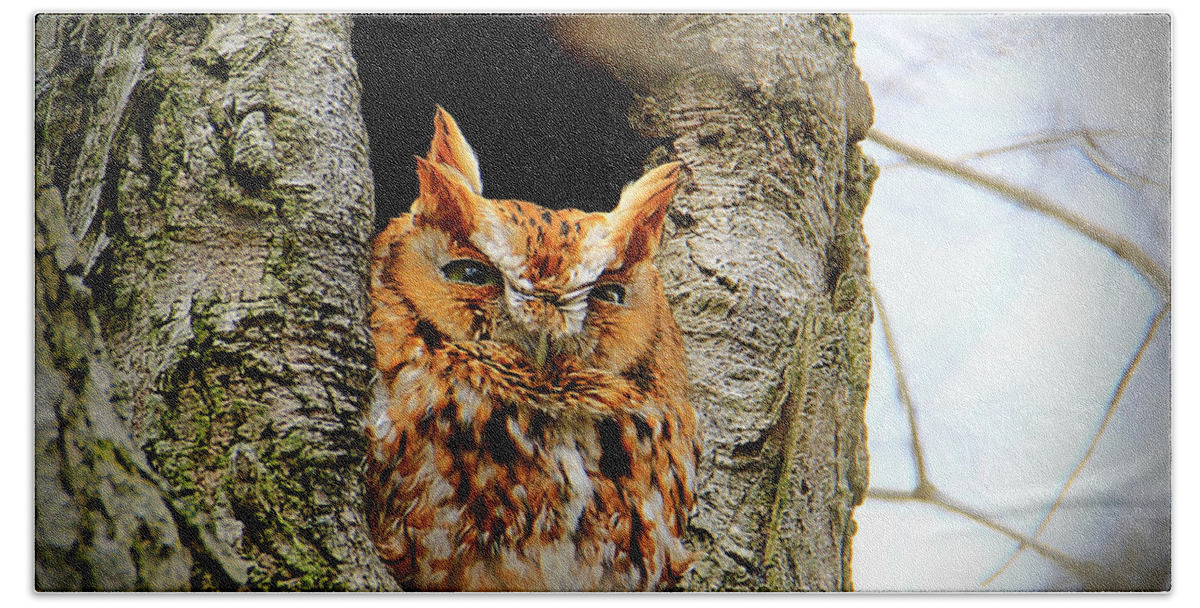 Eastern Screech Owl Red Morph Bath Towel featuring the photograph Whooo are You by Mary Walchuck