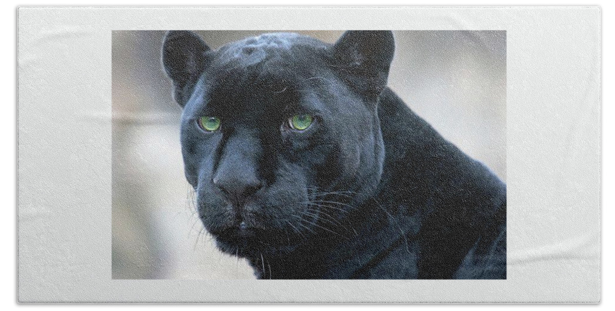 Black Panter Bath Towel featuring the photograph Wild Beasts by Zoran