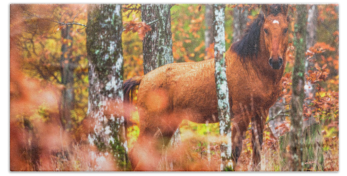 Animals Hand Towel featuring the photograph Wild by Evgeni Dinev