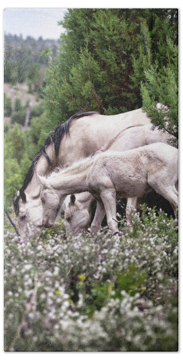 Wild Horses Bath Towel featuring the photograph Wild Flower Breakfast by American Landscapes