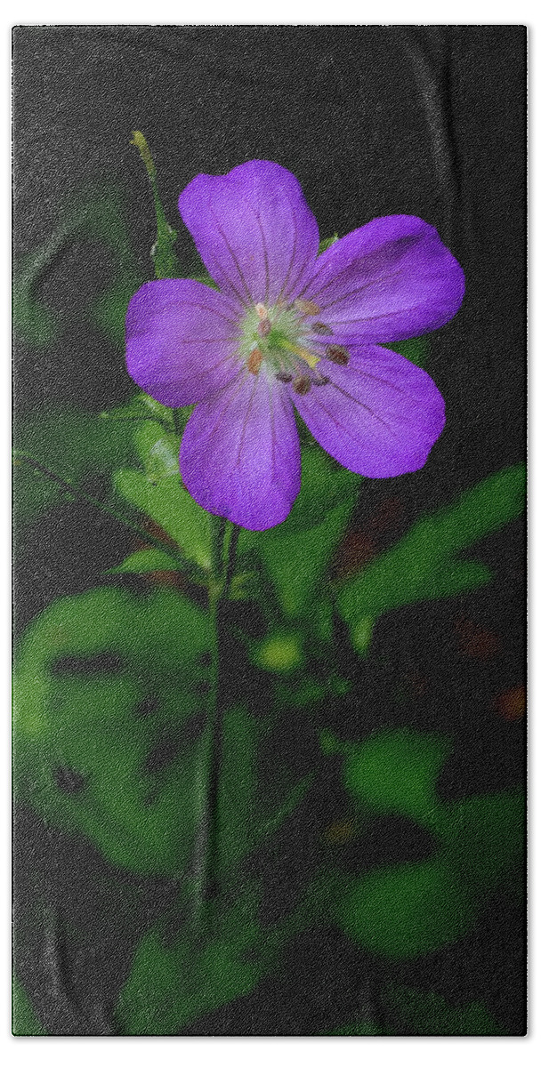 Wildflower Bath Towel featuring the photograph Wild Geranium with Five Petals by James C Richardson
