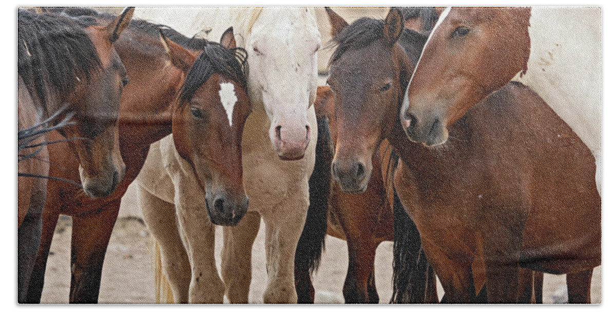 Wild Horses Bath Towel featuring the photograph Wild Horse Huddle by Wesley Aston