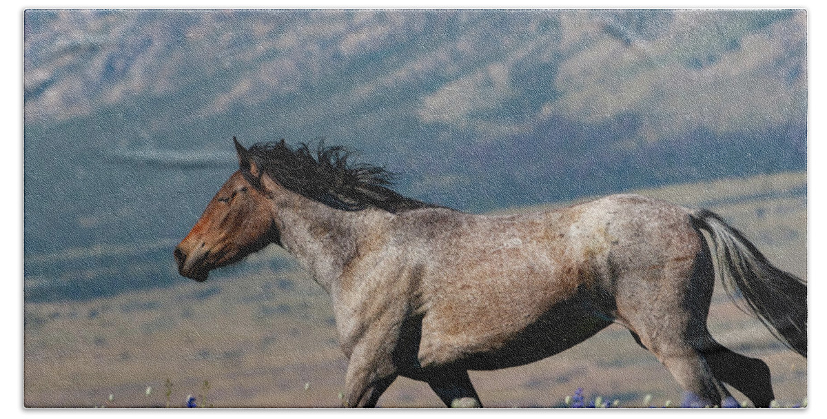 Color Image Bath Towel featuring the photograph Wild horse by Mark Miller